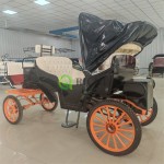 Horse Buggy Factory - Tourist Electric Carriage Business