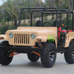 Electric Jeep Factory - Modern Style Color Customized 250cc