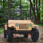 Electric Jeep Manufacturer - 250cc High Speed Adults Kids