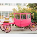 Horse Carriage Factory - 2 Rows Tourist Victorian Wedding