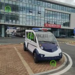 Electric Golf Cart Manufacturer - Vintage Lithium Battery