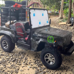 Electric Jeep Manufacturer - 250cc High Speed Adults Kids