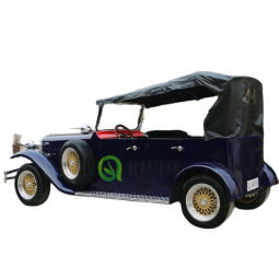 Electric Car Manufacturer - 4 Seater Roof Color Design