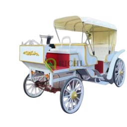 Electric Mara Cart Factory - Sightseeing Wedding Transport