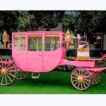 Horse Carriage Factory - 2 Rows Tourist Victorian Wedding