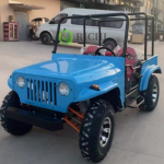 Electric Jeep Manufacturer - 250/350cc Fuel 4x4 Custom