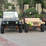Electric Jeep Factory - Modern Style Color Customized 250cc