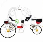 Electric Carriage Manufacturer - Wedding Horse Drawn Vehicle