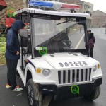 Mini Bus Manufacturer - Electric Sightseeing Luxury