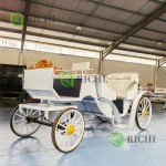 Sightseeing Carriage Manufacturer - Luxury Pink Steel Cart