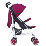 Baby Stroller Manufacturer - Bi-directional Steel Frame