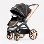 Baby Stroller Factory - 2 in 1 New Style