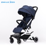 Baby Stroller Manufacturer - 2 in 1 Aluminium Frame