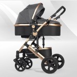 Baby Stroller Manufacturer - 3 in 1 High Landscape