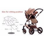 Baby Stroller Manufacturer - 2 in 1 Lightweight Multifunctional
