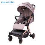 Baby Stroller Manufacturer - 2 in 1 Aluminium Frame