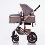 Baby Stroller Factory - 3 in 1 High View Carrier