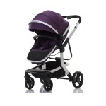 Baby Stroller Manufacturer - 3 in 1 Foldable Trolly