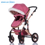 Baby Stroller Manufacturer - Newborn Cheap Pram
