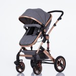 Baby Stroller Manufacturer - 2 in 1 Lightweight Multifunctional
