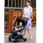 Baby Stroller Factory - 2 in 1 Foldable