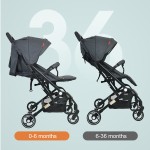 Baby Pram Manufacturer - 2 in 1 Lightweight Pushchairs