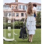 Baby Stroller Manufacturer - Compact 2-in-1 Lightweight Buggy