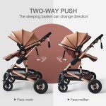 Baby Pram Manufacturer - 3 in 1 High Landscape Multifunction