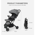 Baby Carriage Manufacturer - Lightweight 2-in-1 Compact