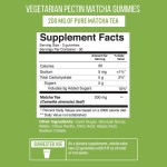 Private Label Herbal Supplements  Green Tea Matcha Gummies Candies