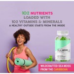 OEM Sea Moss Gummies With Bladderwrack, Burdock Root and Apple Cider Vinegar for Adults
