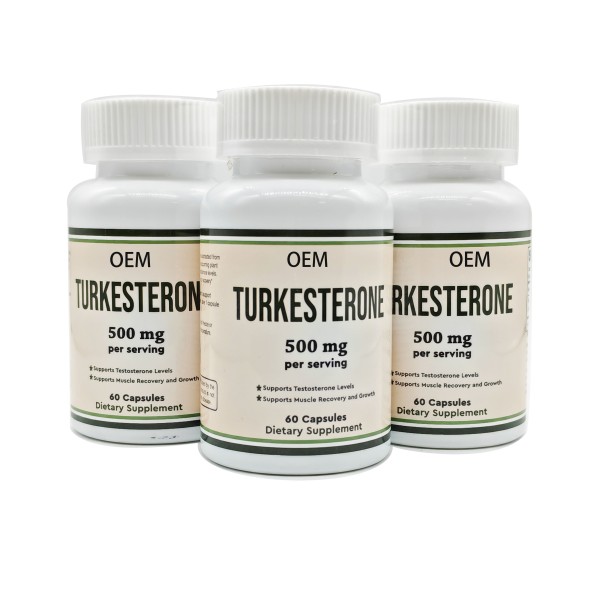 OEM Private Label Turkesterone Supplement Capsules Ajuga Turkestanica Extract Powder Turkesterone Supplement Complex Pills