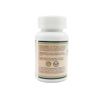 OEM Private Label Turkesterone Supplement Capsules Ajuga Turkestanica Extract Powder Turkesterone Supplement Complex Pills