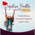 OEM Private Label  Oral Liquid Kids Probiotic Drops with Lactobacillus Acidophilus Probiotic