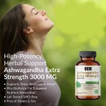 OEM Natural Mood Support Ashwagandha Herbal Supplement Capsules