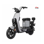 Electric Bike Manufacturer - 100W Folding Fat Tire Adult