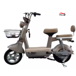 Electric Bike Manufacturer - Smart Hub Motor Integrated Battery