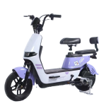 Electric Road Bike Factory - 350W Adult City