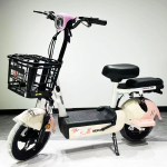 Electric Pedal Vehicle Factory - 48V High-Speed 2 Seat