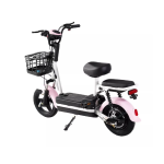 Electric Bike Manufacturer - 350W Integrated Battery