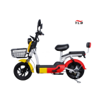 Electric City Bike Manufacturer - 48V Hub Motor Steel Frame