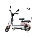 Electric Folding Bike Factory - Two Wheel Fat Tire 350W