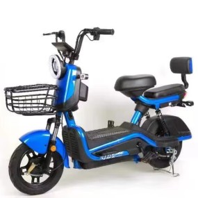 City E-Bike Factory - 350W 48V LCD Display