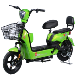 Electric Bicycle Manufacturer - Two Wheeled Adult Leisure