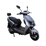 Electric Folding Bike Manufacturer - 350W 48V Cheap