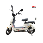 Electric Folding Bike Factory - Two Wheel Fat Tire 350W