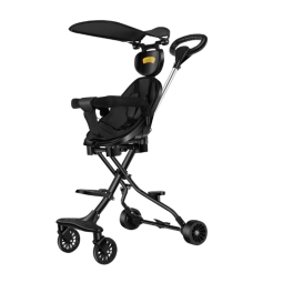 Electric Tricycle Manufacturer - 14 Inch 800W Removable