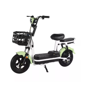 Electric Bike Manufacturer - 350W Integrated Battery