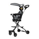 Electric Tricycle Manufacturer - 14 Inch 800W Removable