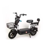 Electric Bicycle Manufacturer - New Design Motor